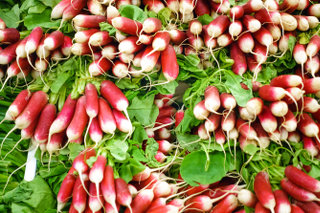 Radishes