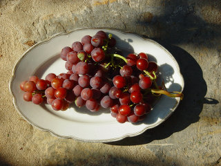 Grapes