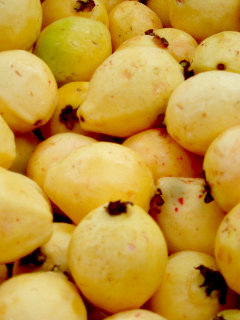 Guavas