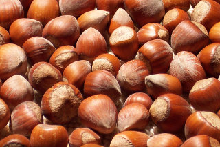 Hazelnuts