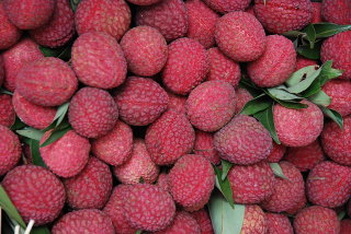 Lychee Fruit