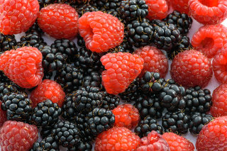 Raspberries and Blackberries