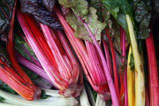 Rhubarb